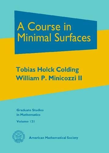 [object Object] «A Course in Minimal Surfaces», авторов Тобиас Хольк Колдинг, Уильям П. Миникоцци - фото №1