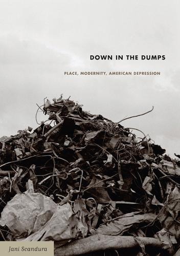 Бумажная книга «Down in the Dumps: Place, Modernity, American Depression», автор Яни Скандура - фото №1