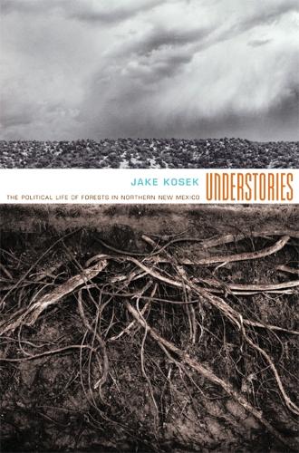 Бумажная книга «Understories: The Political Life of Forests in Northern New Mexico», автор Джейк Косек - фото №1