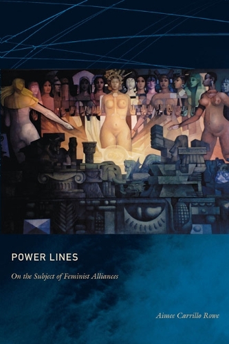 Паперова книга «Power Lines: On the Subject of Feminist Alliances», автор Емі Каррільйо Роу - фото №1