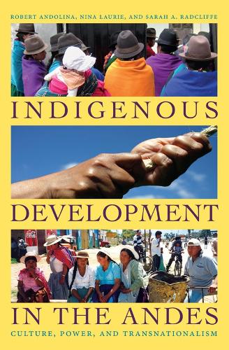 Бумажная книга «Indigenous Development in the Andes: Culture, Power, and Transnationalism», авторов Нина Лори, Роберт Андолина, Сара А. Рэдклифф - фото №1