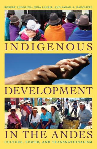 Паперова книга «Indigenous Development in the Andes: Culture, Power, and Transnationalism», авторів Ніна Лорі, Роберт Андоліна, Сара А. Редкліфф - фото №1
