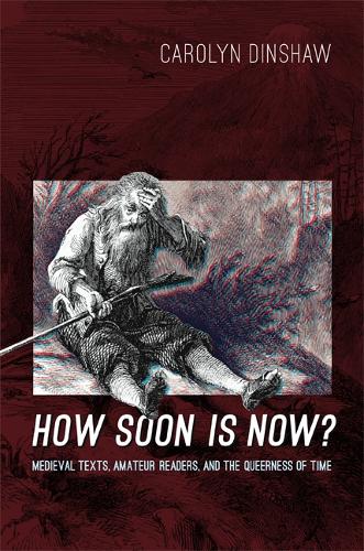 Бумажная книга «How Soon Is Now?: Medieval Texts, Amateur Readers, and the Queerness of Time», автор Кэролин Диншоу - фото №1