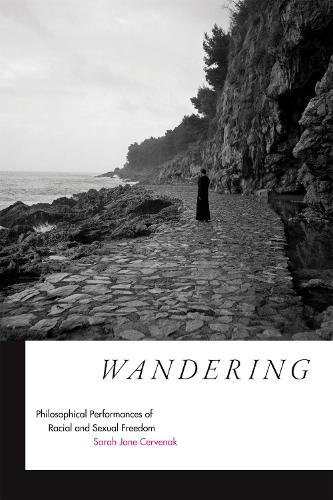 Паперова книга «Wandering: Philosophical Performances of Racial and Sexual Freedom», автор Сара Джейн Червенак - фото №1
