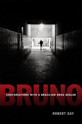 Бумажная книга «Bruno: Conversations with a Brazilian Drug Dealer», автор Роберт Гей - фото №1