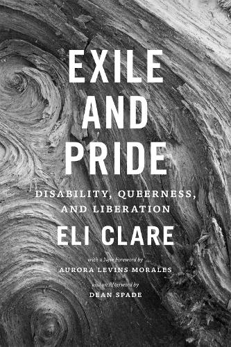 Бумажная книга «Exile and Pride: Disability, Queerness, and Liberation», автор Элай Клэр - фото №1