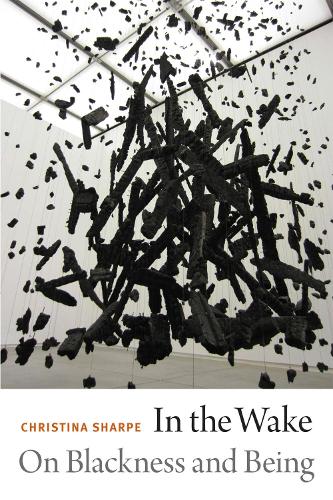 Паперова книга «In the Wake: On Blackness and Being», автор Крістіна Шарп - фото №1