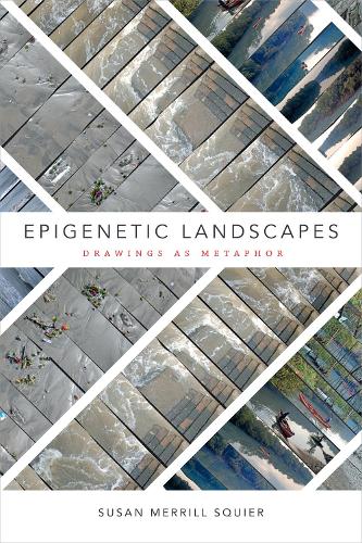 Паперова книга «Epigenetic Landscapes: Drawings as Metaphor», автор Сюзан Меррілл Сквайер - фото №1