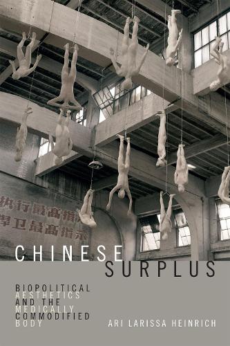 Бумажная книга «Chinese Surplus: Biopolitical Aesthetics and the Medically Commodified Body», автор Ари Лариса Хайнрих - фото №1