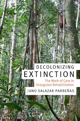 [object Object] «Decolonizing Extinction: The Work of Care in Orangutan Rehabilitation», автор Хуно Салазар Парренас - фото №1