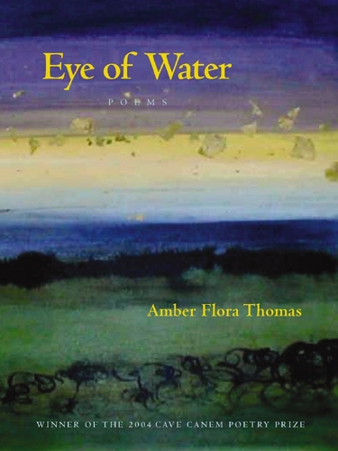 Бумажная книга «Eye of Water», автор Эмбер Флора Томас - фото №1