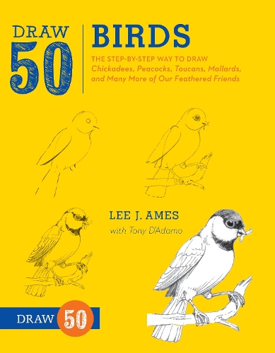 Бумажная книга «Draw 50 Birds», автор Л. Эймс - фото №1