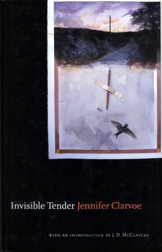 Паперова книга «Invisible Tender», автор Дженніфер Кларво - фото №1
