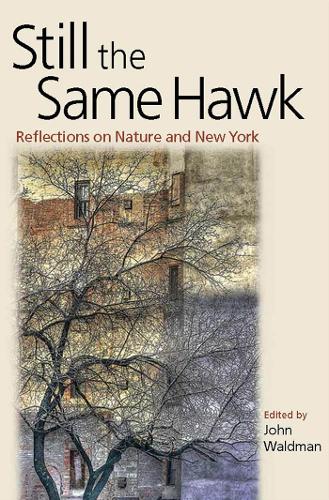 Бумажная книга «Still the Same Hawk: Reflections on Nature and New York», автор Джон Вальдман - фото №1