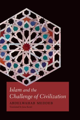 Бумажная книга «Islam and the Challenge of Civilization», автор Абдельвахаб Меддеб - фото №1