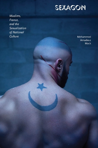 Бумажная книга «Sexagon: Muslims, France, and the Sexualization of National Culture», автор Мехаммед Амадей Мак - фото №1