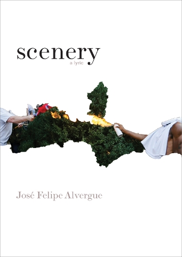 Паперова книга «scenery: a lyric», автор Хосе Феліпе Альверге - фото №1