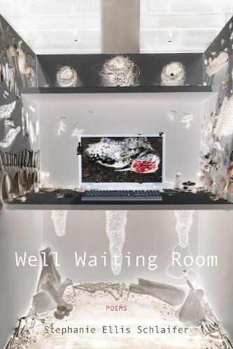 Паперова книга «Well Waiting Room», автор Стефані Елліс Шлайфер - фото №1