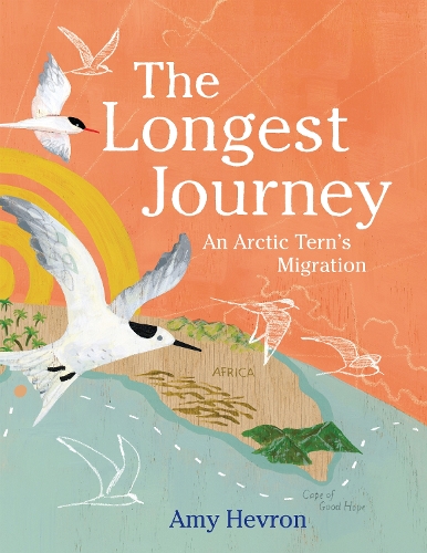 Бумажная книга «The Longest Journey: An Arctic Tern's Migration», автор Эми Хеврон - фото №1