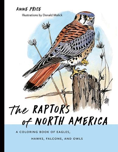 Бумажная книга «The Raptors of North America: A Coloring Book of Eagles, Hawks, Falcons, and Owls», автор Энн Прайс - фото №1