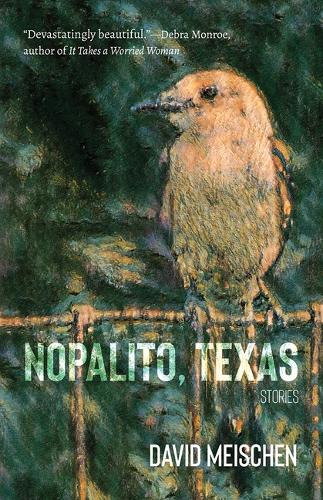 Бумажная книга «Nopalito, Texas: Stories», автор Дэвид Мейшен - фото №1