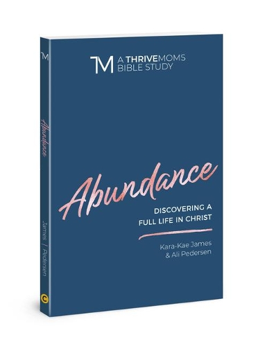 Бумажная книга «Abundance», автор Кара-Кае Джеймс - фото №1