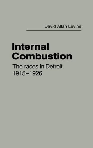 Бумажная книга «Internal Combustion: The Races in Detroit, 1915-1926», автор Дэвид Левин - фото №1