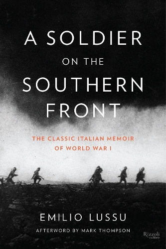 Бумажная книга «A Soldier on the Southern Front: The Classic Italian Memoir of World War 1», автор Эмилио Луссу - фото №1