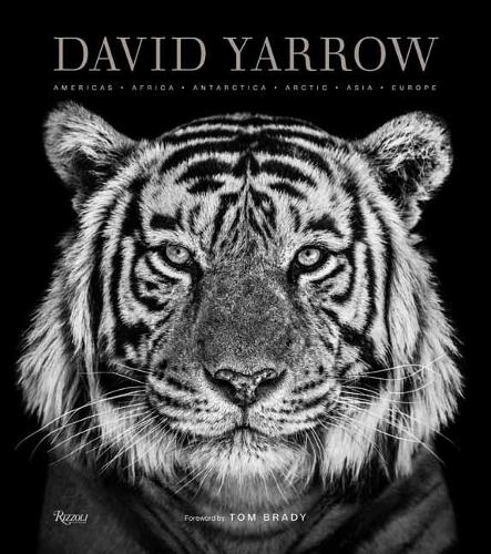 Бумажная книга «David Yarrow Photography: Americas Africa Antarctica Arctic Asia Europe», авторов Дэвид Ярроу, Том Брэди - фото №1