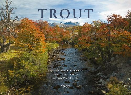 Паперова книга «Trout», авторів Брайан Гроссенбахер, Том Розенбауер - фото №1