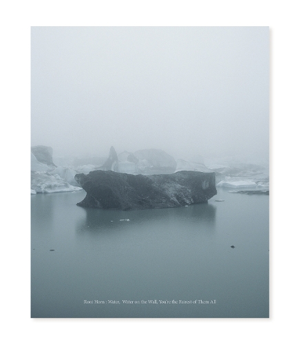 Бумажная книга «Roni Horn: Water Water On the Wall, You’re the Fairest of Them All», авторов Джарретт Эрнест, Нора Бернетт Абрамс - фото №1
