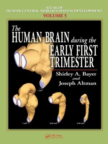 Паперова книга «The Human Brain During the Early First Trimester», авторів Джозеф Альтман, Ширлі А. Байєр - фото №1