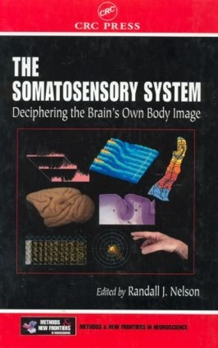 Паперова книга «The Somatosensory System: Deciphering the Brain's Own Body Image» - фото №1