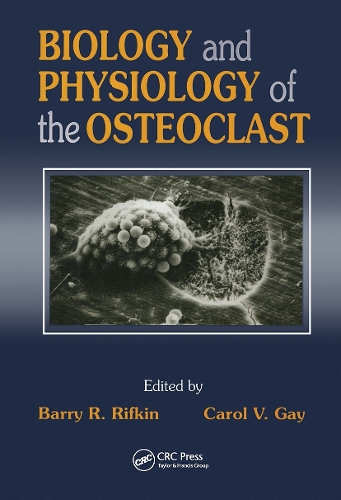 Бумажная книга «Biology and Physiology of the Osteoclast», авторов Барри Р. Рифкин, Кэрол В. Гэй - фото №1