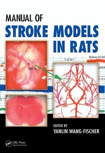 Бумажная книга «Manual of Stroke Models in Rats» - фото №1