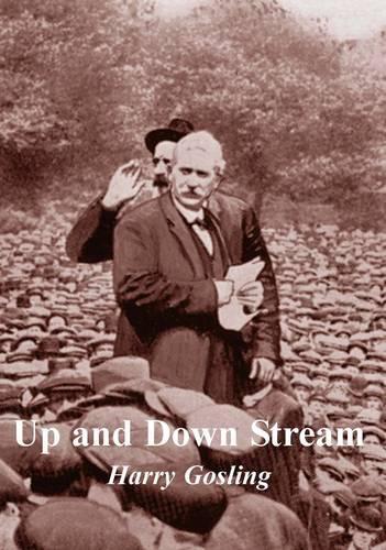 Паперова книга «Up and Down Stream», автор Гаррі Гослінг - фото №1
