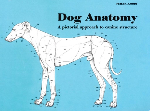 Паперова книга «Dog Anatomy: A Pictorial Approach to Canine Structure», автор Пітер Гуді - фото №1