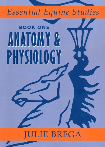Бумажная книга «Essential Equine Studies: Anatomy and Physiology: Book One», автор Джули Брега - фото №1