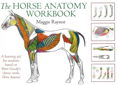 Бумажная книга «Horse Anatomy Workbook: A Learning Aid for Students Based on Peter Goody's Classic Work, Horse Anatomy», автор Мэгги Рейнор - фото №1