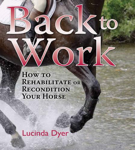 Бумажная книга «Back to Work», автор Люсинда Дайер - фото №1