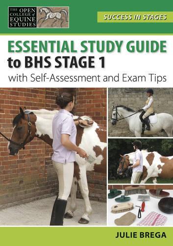 Бумажная книга «Essential Study Guide to BHS Stage 1: With Self-Assessment and Exam Tips», автор Джули Брега - фото №1