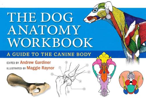 Бумажная книга «Dog Anatomy Workbook: A Guide to the Canine Body», авторов Эндрю Гардинер, Клэр Филлипс - фото №1