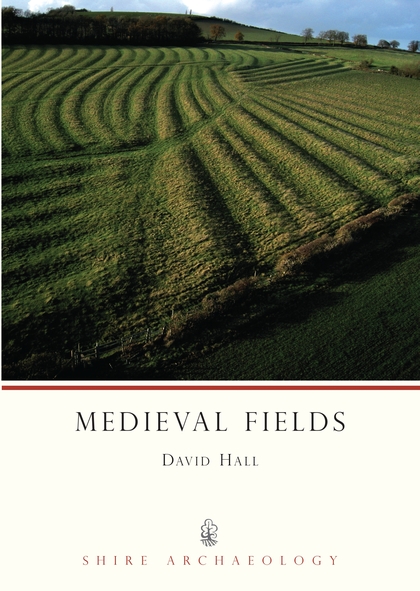 Паперова книга «Medieval Fields», автор Девід Голл - фото №1
