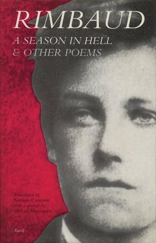 Бумажная книга «A Season in Hell: and Other Poems», автор Артюр Рембо - фото №1
