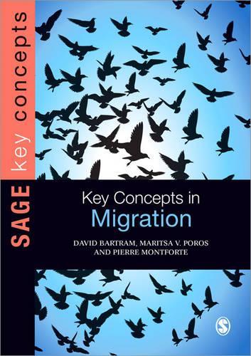 Паперова книга «Key Concepts in Migration», автор Девід Бартрам - фото №1