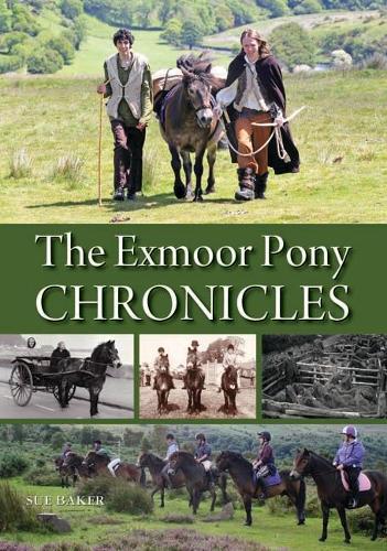 Бумажная книга «The Exmoor Pony Chronicles», автор Сью Бейкер - фото №1