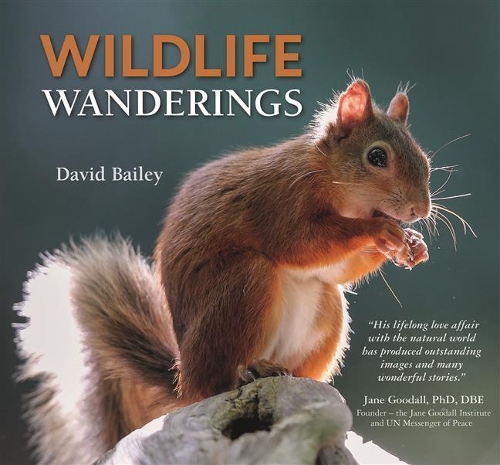 Паперова книга «Wildlife Wanderings», автор Девід Бейлі - фото №1