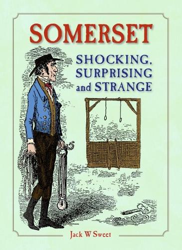 Бумажная книга «Somerset Shocking, Surprising and Strange», автор Джек Свит - фото №1