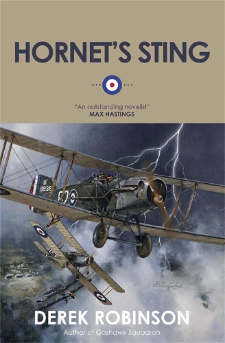 Бумажная книга «Hornet's Sting», автор Дерек Робинсон - фото №1