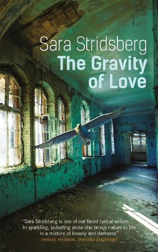 Паперова книга «The Gravity of Love», автор Сара Стрідсберг - фото №1